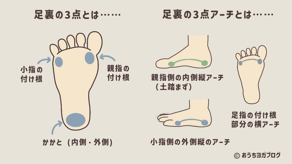 足裏の3点支持と3つのアーチの関係を視覚的に示す図解