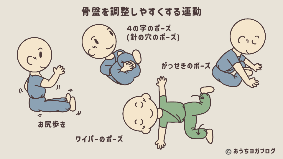 骨盤を調整しやすくなるトレーニング例の図解