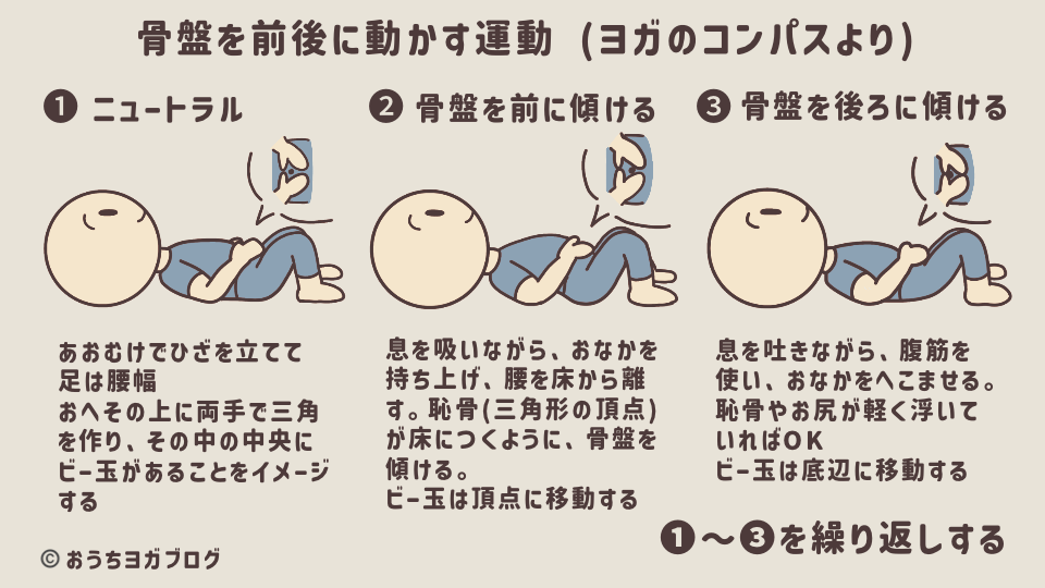 ヨガのコンパスのポーズ図解(仰向けでの骨盤操作エクササイズ)