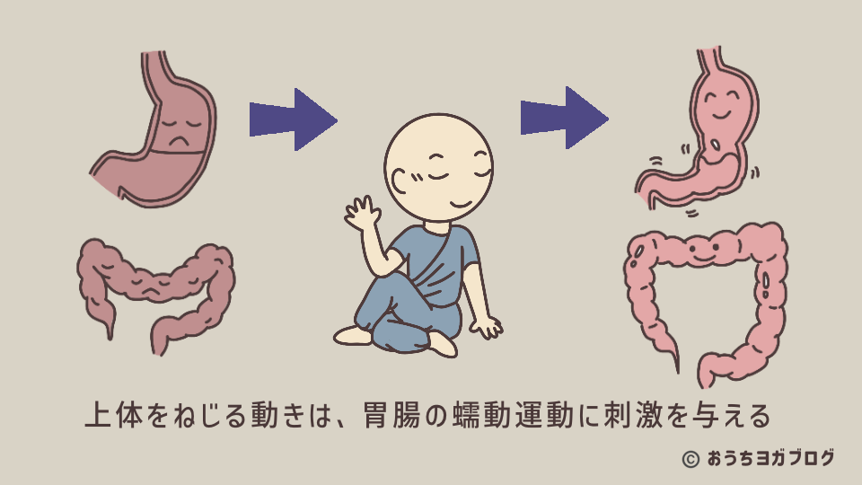 ねじりのポーズで胃腸に刺激を与え蠕動運動を促す効果を解説する図