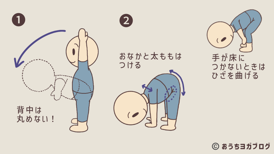 強い前屈のポーズを解説したイラスト図解。両手を上に伸ばすポーズからの入り方や手が床につかないときはひざを曲げる前屈をすることも示している