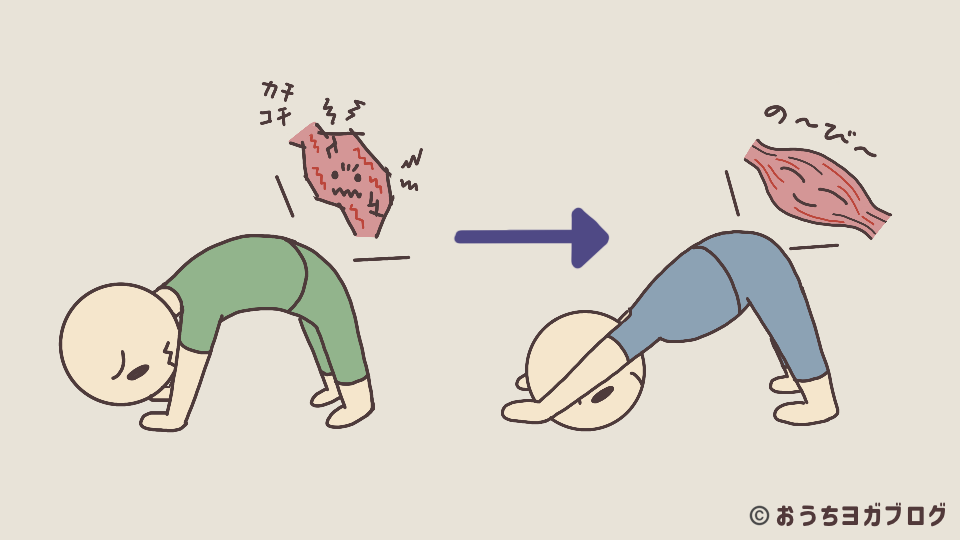 ヨガのダウンドッグ。筋肉が硬いと背中や脚が伸びず、ほぐれると気持ちよく伸びる違いを示す図