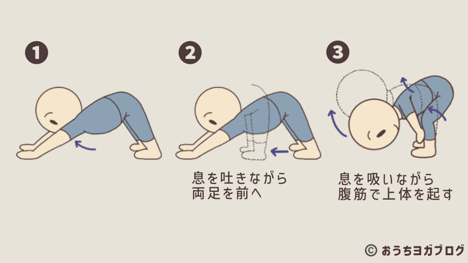 下向きの犬のポーズから半分の前屈に移行する動作をイラストを用いて詳しく解説した図解。足を前に運び。ひざを曲げてから半分の前屈に入る