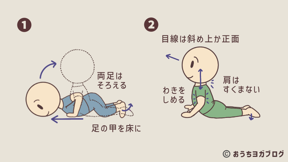 8点のポーズからコブラのポーズに移る説明をしているイラストの図解(両手を床に置いて胸を前に広げ、背中を使って上体を起こすことを説明している)