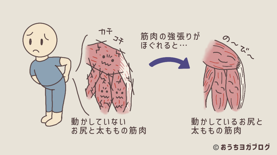 お尻と太ももの裏の筋肉。強張って動きを妨げる状態と、ほぐれて柔らかくなった状態の比較図
