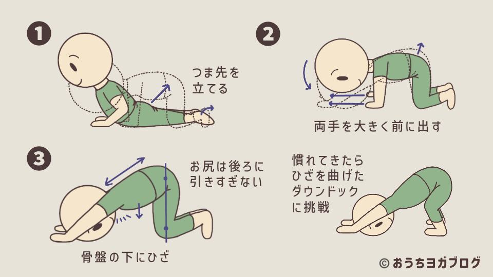 子犬のポーズを解説したイラスト付き図解。ベイビーコブラからの入り方を示し、四つ這いから両手を前に出して、背中、体側を伸ばすポーズ