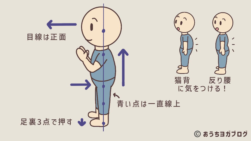 ハタヨガの山のポーズ（ターダーサナ）を解説したイラスト付き図解。足裏3点で押し、背筋を一直線に整え、目線は正面を向くことを示したもの。反り腰、猫背姿勢のイラストもある。