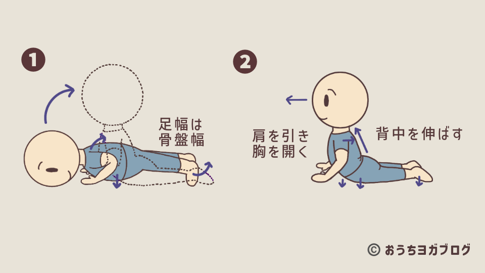 コブラのポーズを解説したイラスト付き図解。足の甲を床につけ、胸を開き、背中を伸ばすように反らす後屈のポーズを示している。チャトランガダンダアーサナからの入り方も説明している