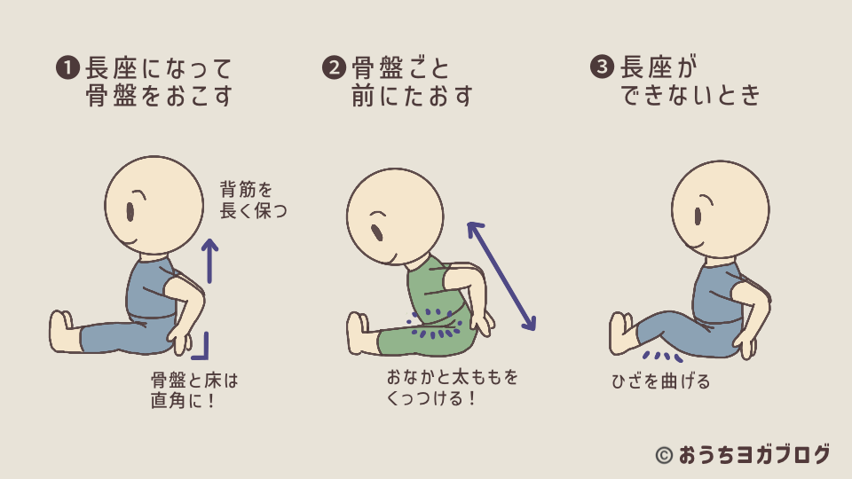 座って行う前屈。長座で骨盤を立てて背筋を伸ばし、股関節ごと上体を倒す練習方法の図解