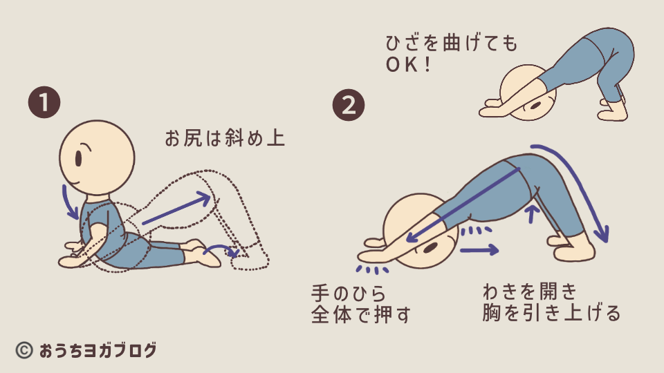 下向きの犬のポーズを解説したイラスト図解。お尻を斜め上に持ち上げ、わきを伸ばし、手のひら、お腹、太ももで上体を朝さえ、腰骨～腕まで体側の伸ばすポーズ。簡易ポーズとして、ひざを曲げたダウンドックも紹介