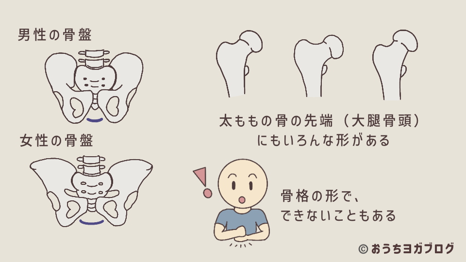 骨格の形や靭帯の硬さの違いによって柔軟性や可動域に個人差があることを示す図解