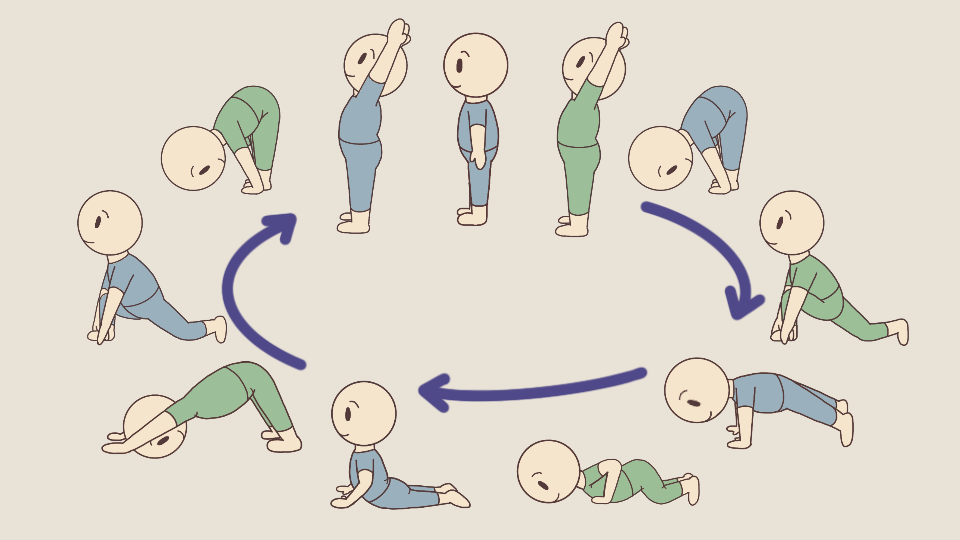 シヴァナンダヨガの太陽礼拝のシークエンスのイラスト画像