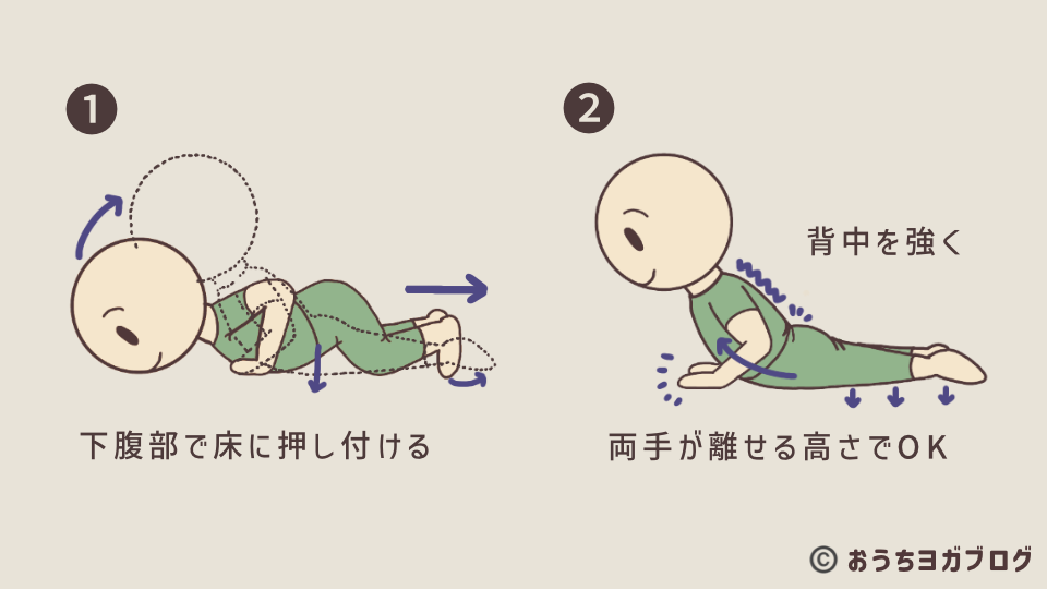 ベイビーコブラを解説したイラスト付き図解。8点のポーズからの入り方をイラストで示し、両手で強く押さず、背筋で上体を起こす。足の甲を床に押し付けるよう示しています。