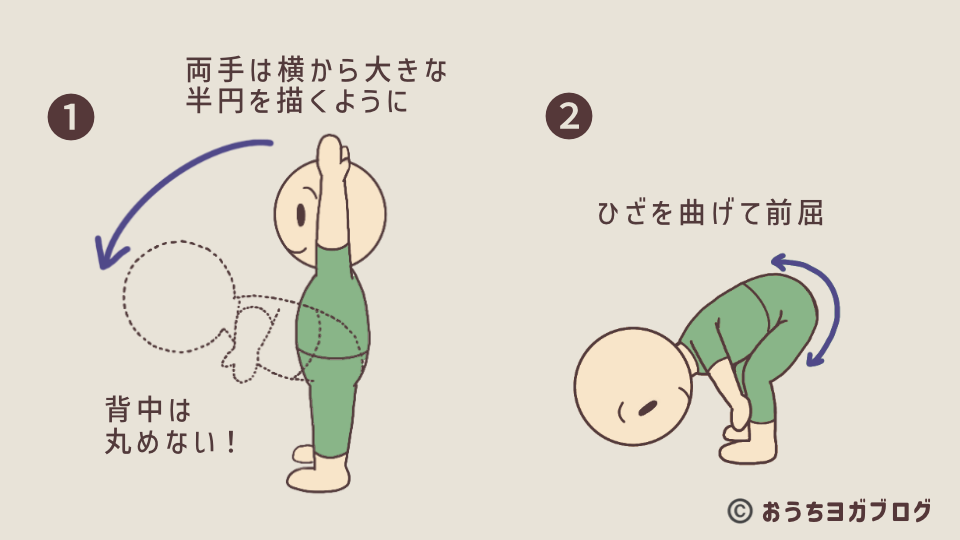 ひざを曲げた前屈を解説したイラスト付き図解。背中を丸めずに、おなかと太ももをつけて行う簡易ポーズ。両手を上に伸ばすポーズからの入り方も説明している