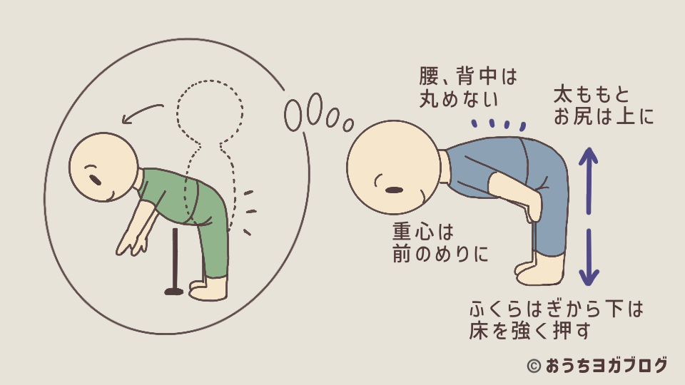 股関節から上体を倒すイメージを示した図。背中を丸めずに前屈を深めるためのポイント
