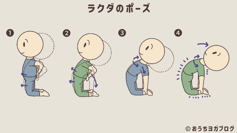 ラクダのポーズのイラスト図解（4段階に分けて、１・骨盤を安定させ、２・背中を伸ばすイメージで体を後ろに倒し、３・胸を開きながら背中を反らし、４・両手で足首をつかんでポーズを安定させるを解説している。後屈のポーズの総まとめの練習です）