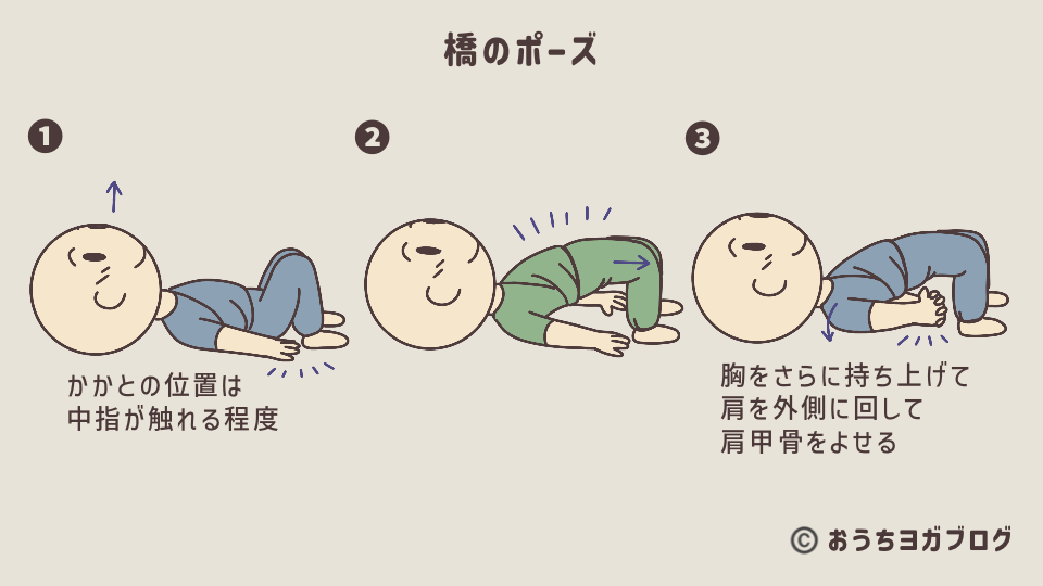 橋のポーズのイラスト入り図解（かかとの位置調整、腰の持ち上げ、肩を外側に回して胸を引き上げる流れポーズ完成までを3段階にわけて解説。このポーズで後屈するときに、骨盤や太ももの付け根を前にだす感覚を覚える練習をする）