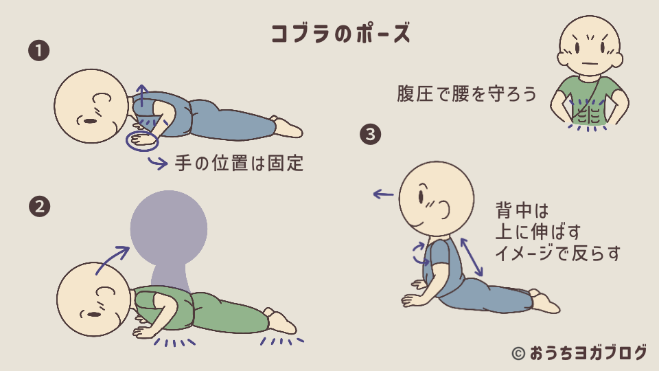 コブラのポーズ図解（ポーズ完成までをバン段階的に詳しく解説。腹圧を使って上体を持ち上げる手順のイラスト。コブラのポーズで腹圧をコントロールし、更に背中を伸ばすイメージで反らす練習をする）
