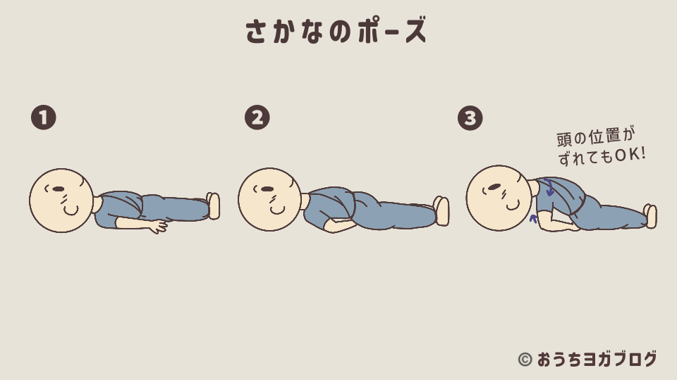 魚のポーズのイラスト入り図解（肩甲骨を寄せて胸を持ち上げる手順を説明－胸を開きやすくするための練習ポーズ。腰への負担が少なく、背中を柔らかくします）