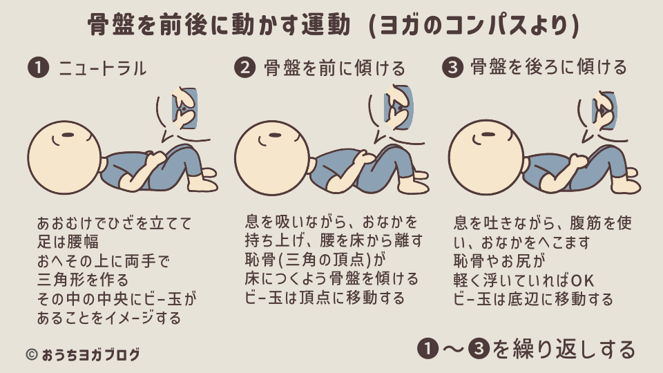 ヨガのコンパスのポーズ図解（仰向けでの骨盤操作するエクササイズ。骨盤の前傾・後傾・ニュートラルに動かす方法をイラスト入りで解説）